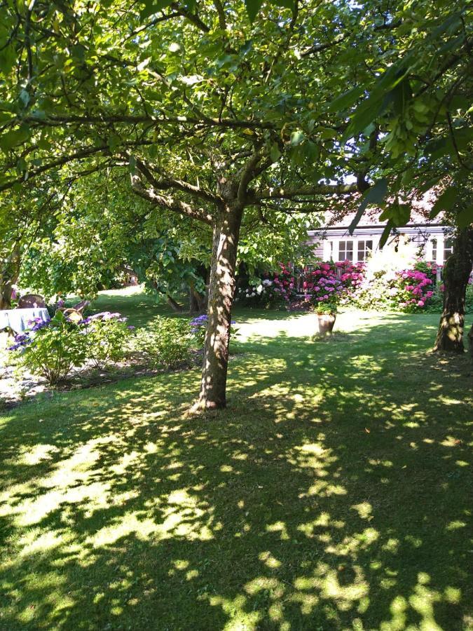 Ouddorp Vakantiehuisje ภายนอก รูปภาพ
