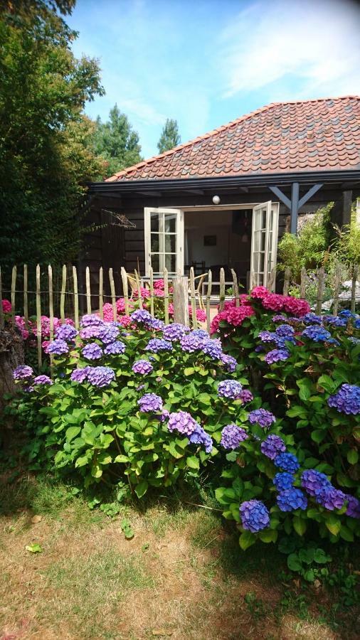 Ouddorp Vakantiehuisje ภายนอก รูปภาพ